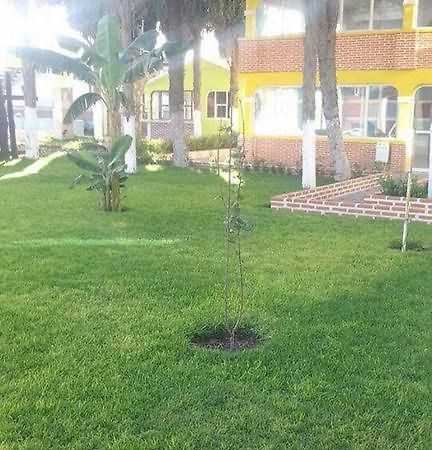 Hotel Cipreses إكسميكيلبان المظهر الخارجي الصورة